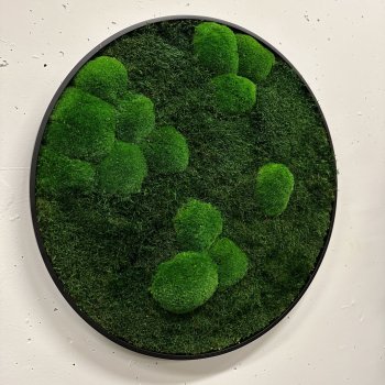 Mosbillede i mosmix 003